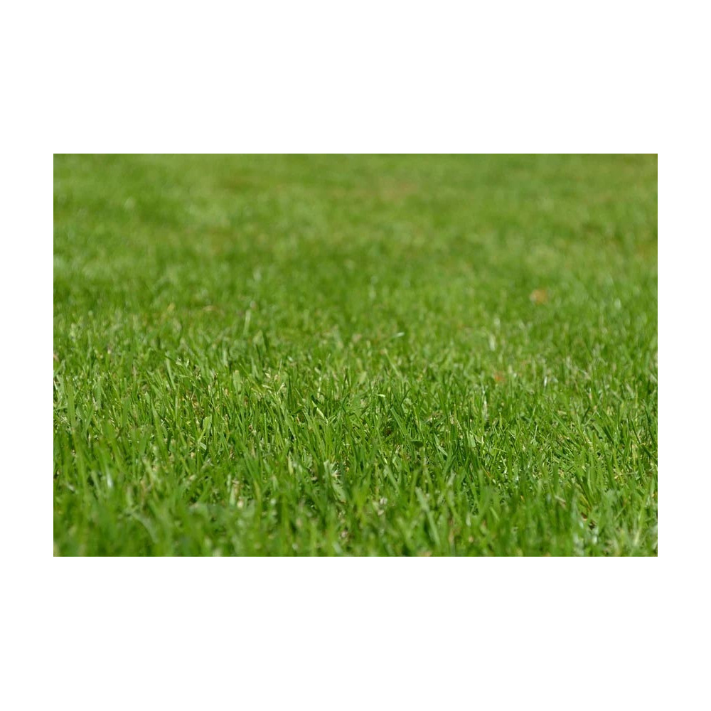 Terreau bio actif 40 litres lot de 5