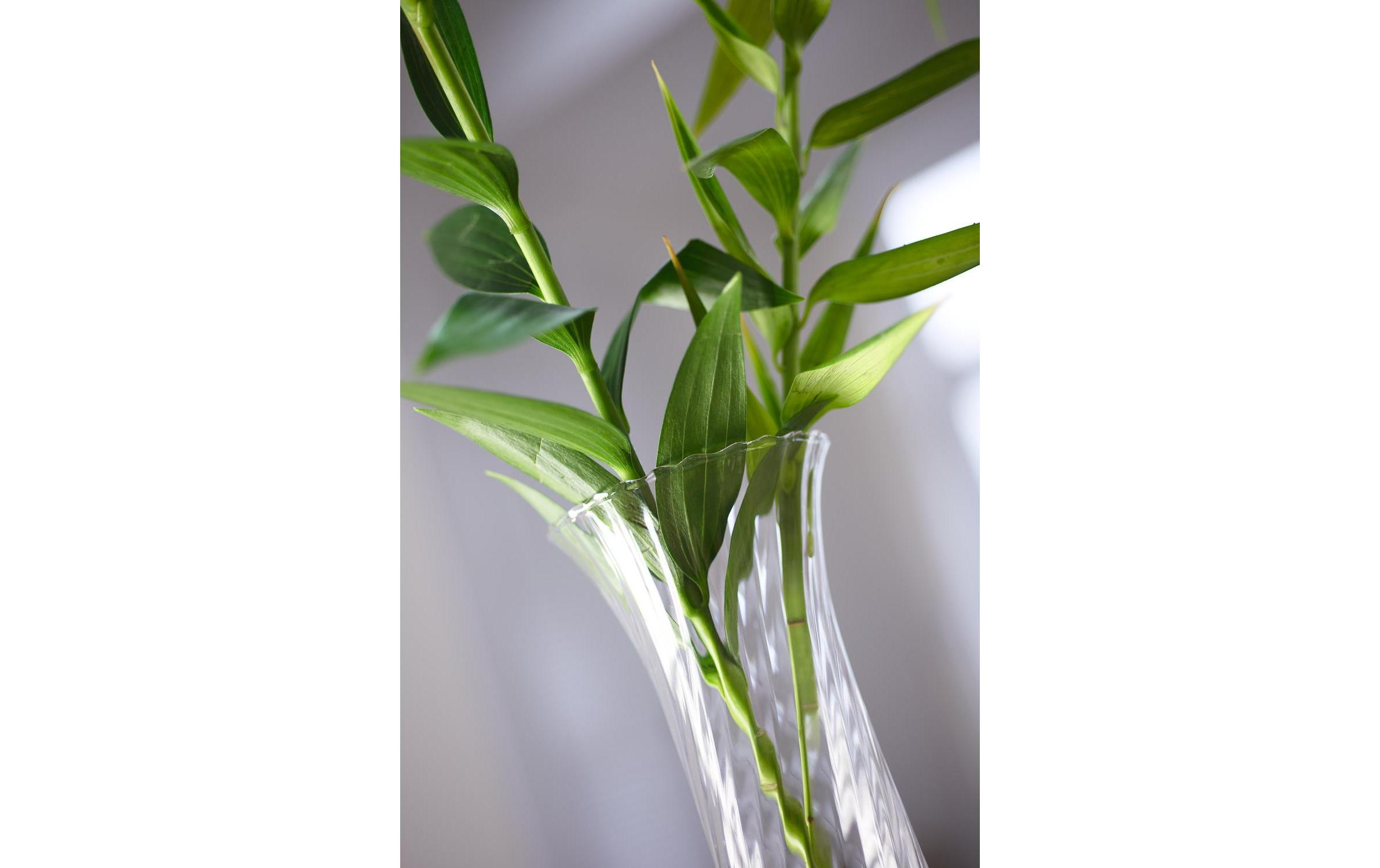 Vase Ravenna 26.5 cm TransparentVase aus Glas, Transparent