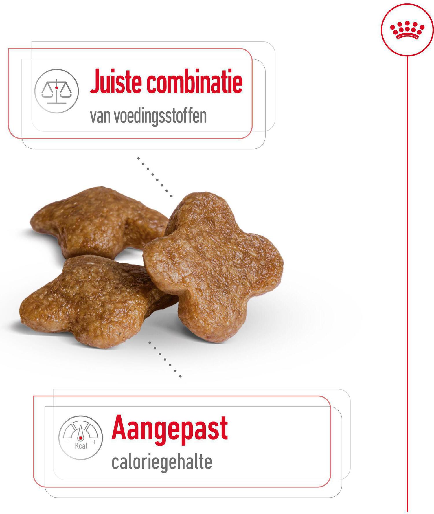 Royal Canin hondenvoer Mini adult 8+ 2 kg