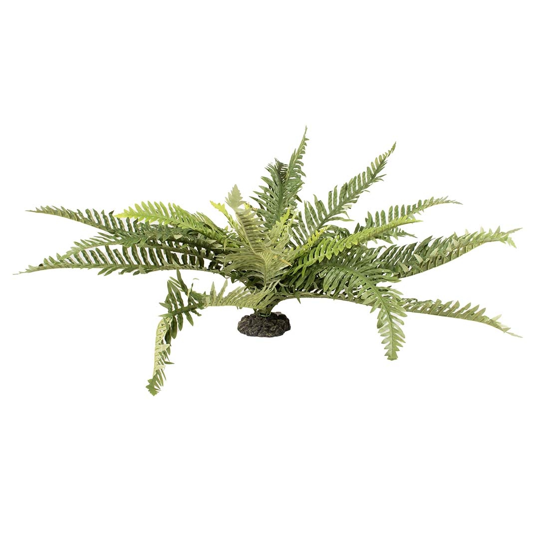 Aqua D'ella Realistische Kunstvaren voor Terrariums XL