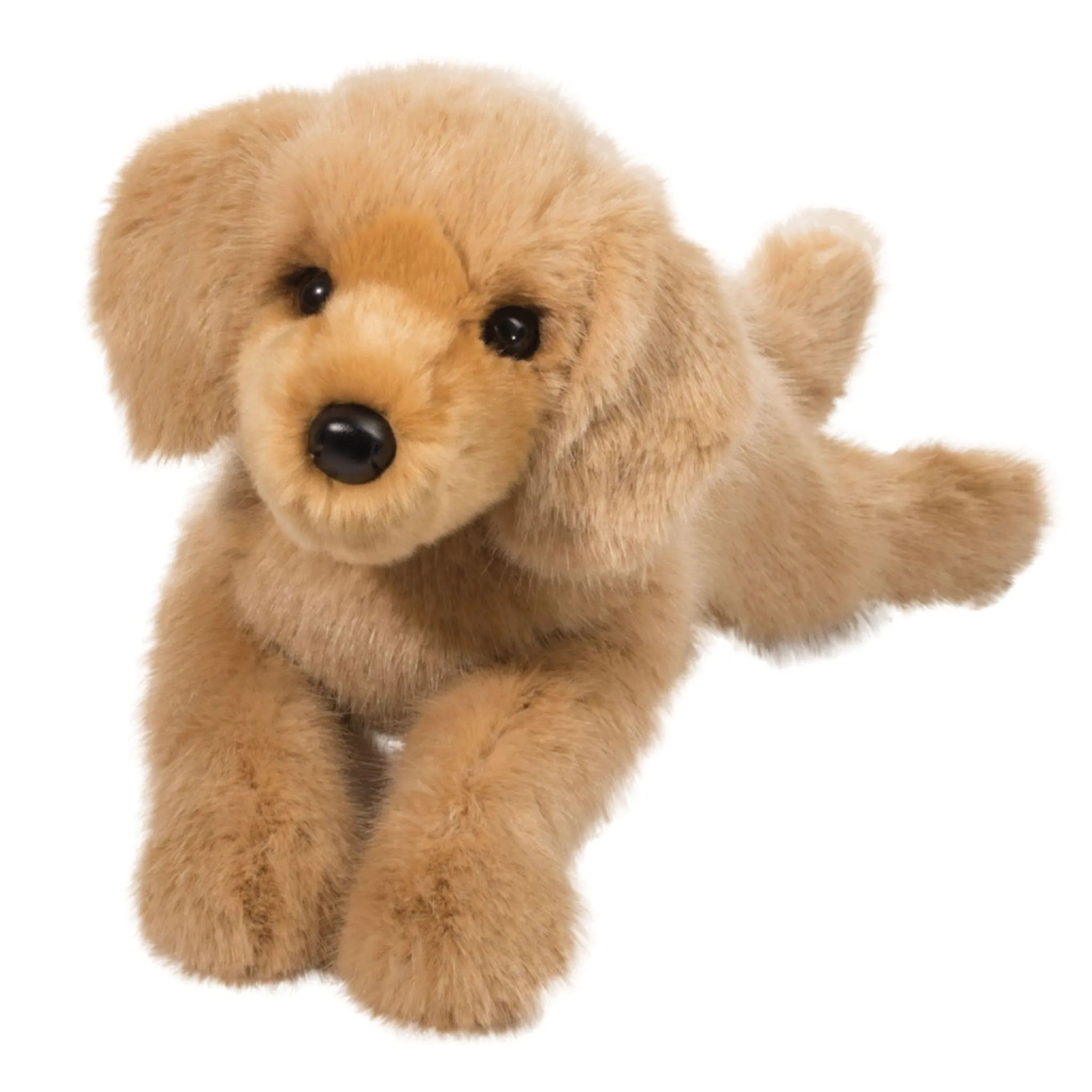 Douglas Chien Golden Retriever - Oakley