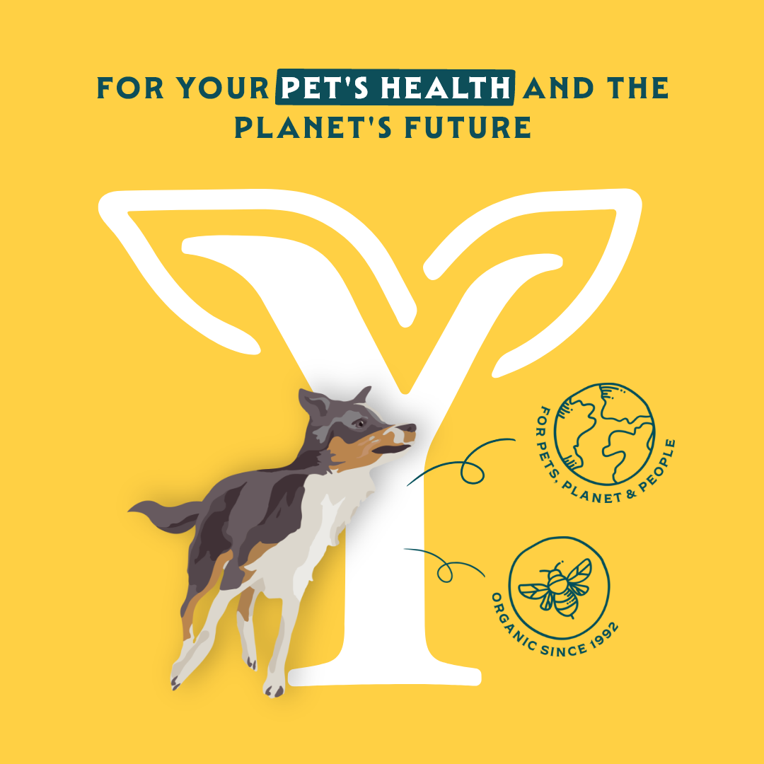 Yarrah - Multi Pack Hond Bio