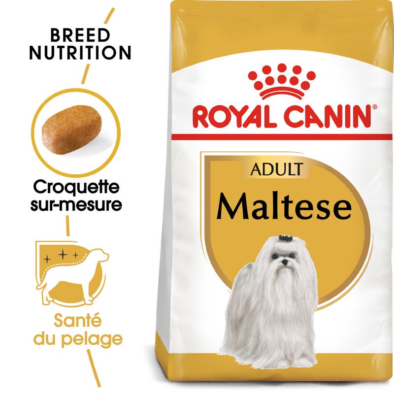 Royal Canin Bichon Maltais Adult à prix discount sur bitiba.fr