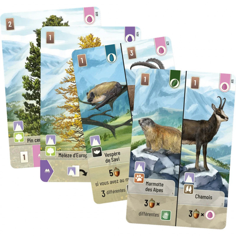 Forêt Mixte : Alpes