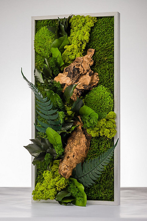 Tableau végétal stabilisé rectangle