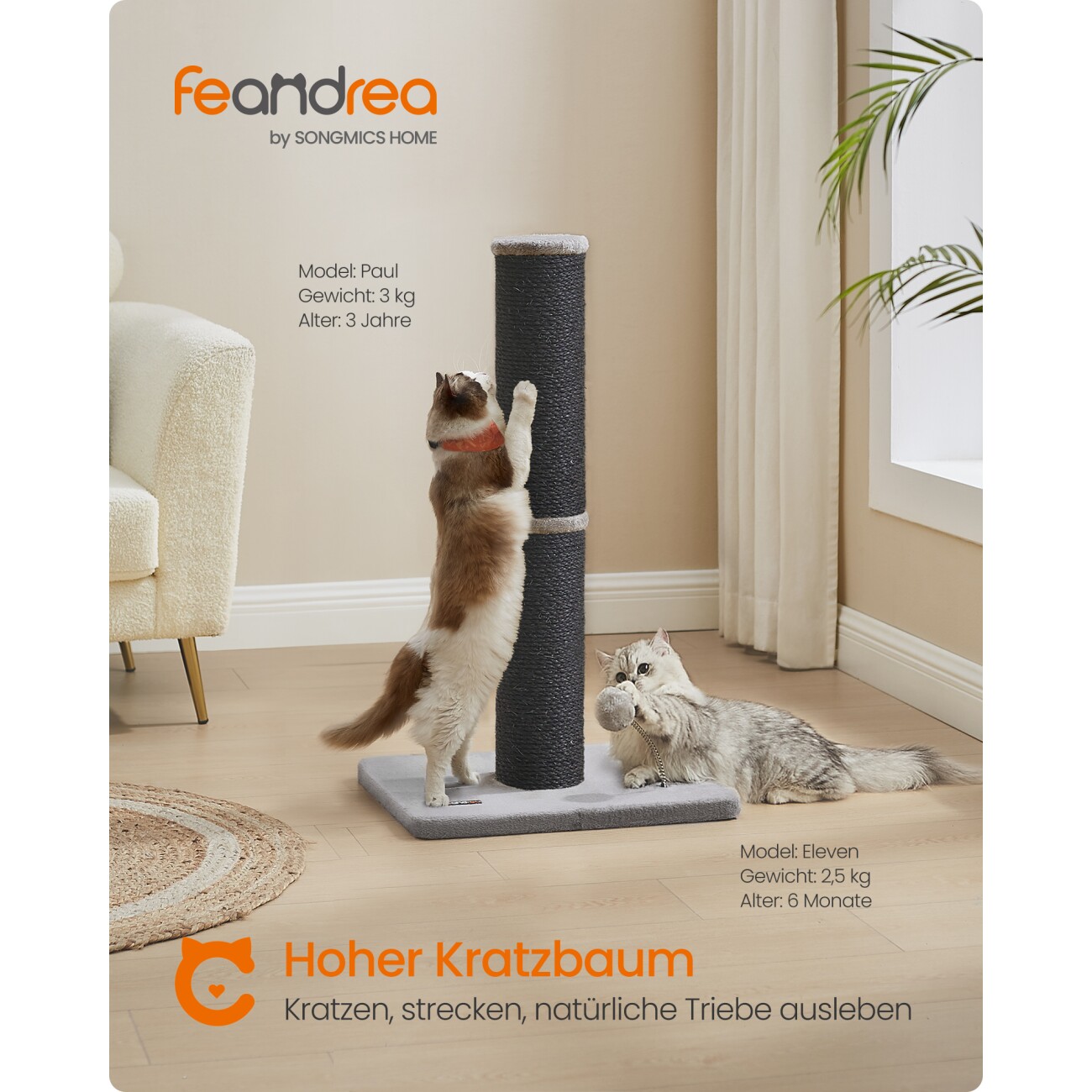 FEANDREA Kratzbaum Kratzsäule mit Plüschball und Glocke schwarz