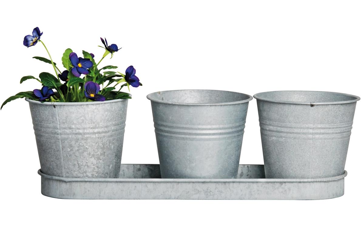 Blumentopf Altzink 3er Set, GrauPflanzengefässe mit Ablage