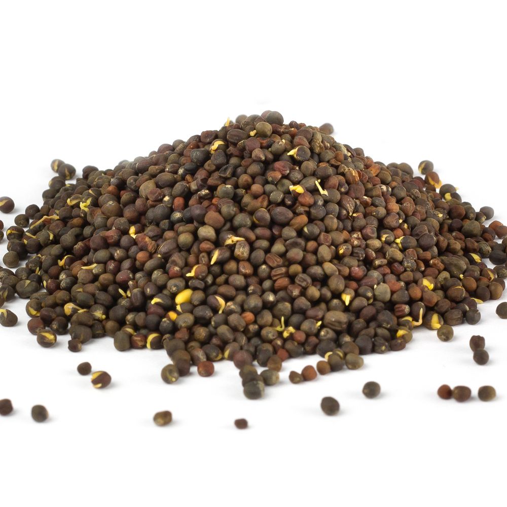 Dr. Jacob's Brokkolisamen Sulfoforte BIO Brokkoli Sulforaphan Glukoraphan