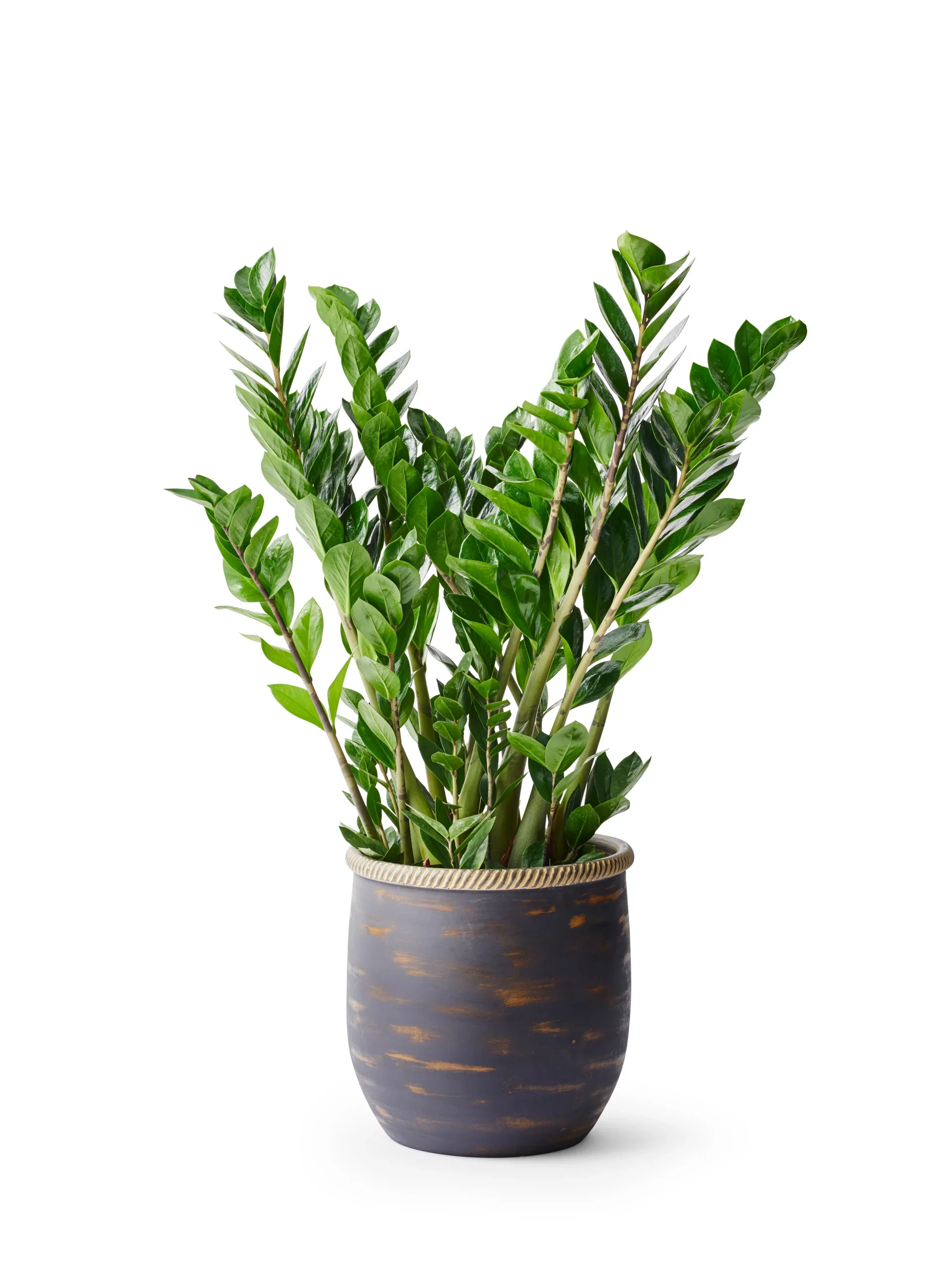 Plantagen Potte Patrik Ø32 cm