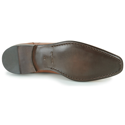 Carlington - NIMIO - Camel
