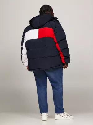 Bandeira de arquivo Alasca Puffer