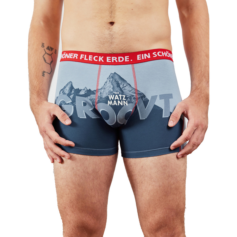 Ein schöner Fleck Erde Herren Der Watzmann Groovt Boxer