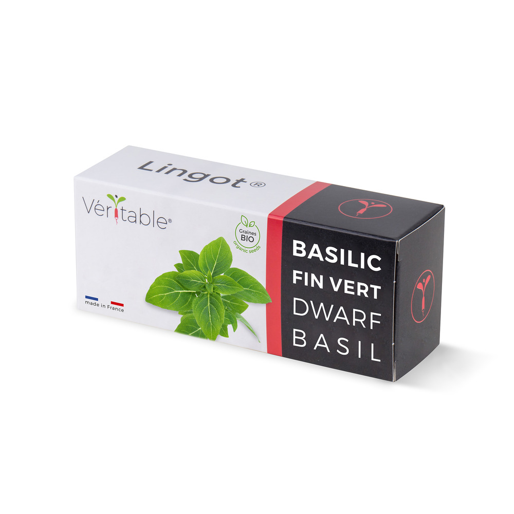 Lingot basilic fin vert bio - recharge prête à l'emploi