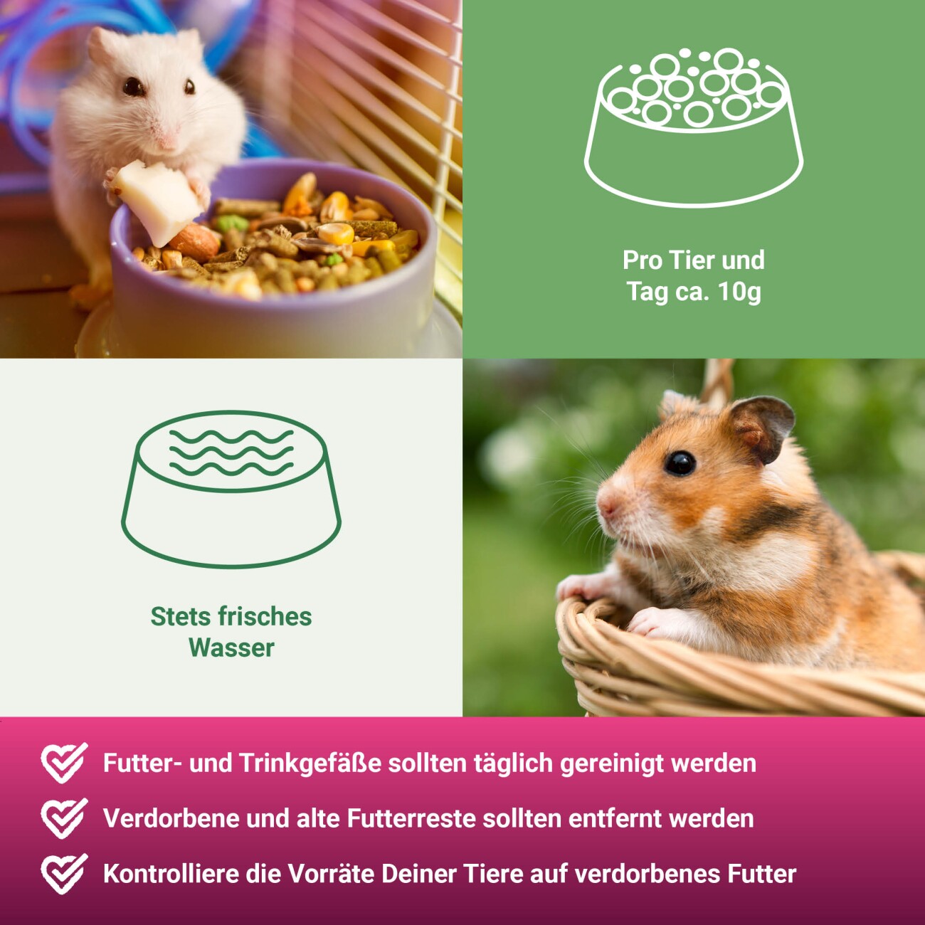 Panto ® HAMSTERFUTTER 1 kg