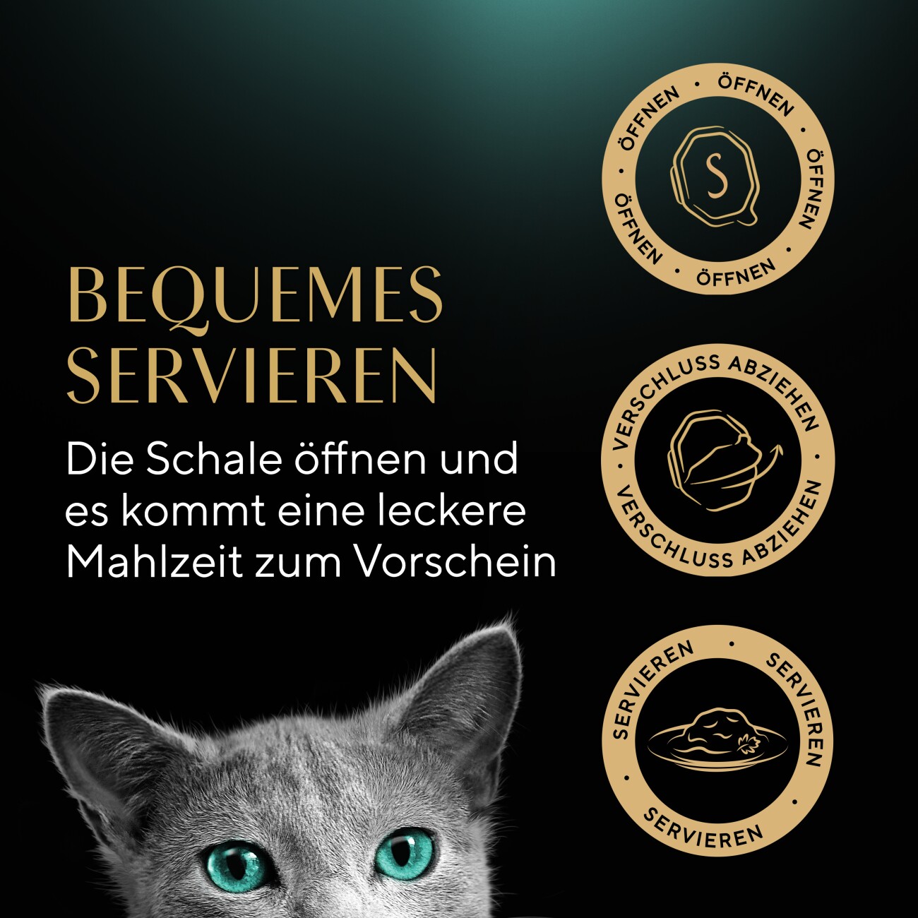 Sheba Multipack Sauce Collection Feine Vielfalt 12x85 g
