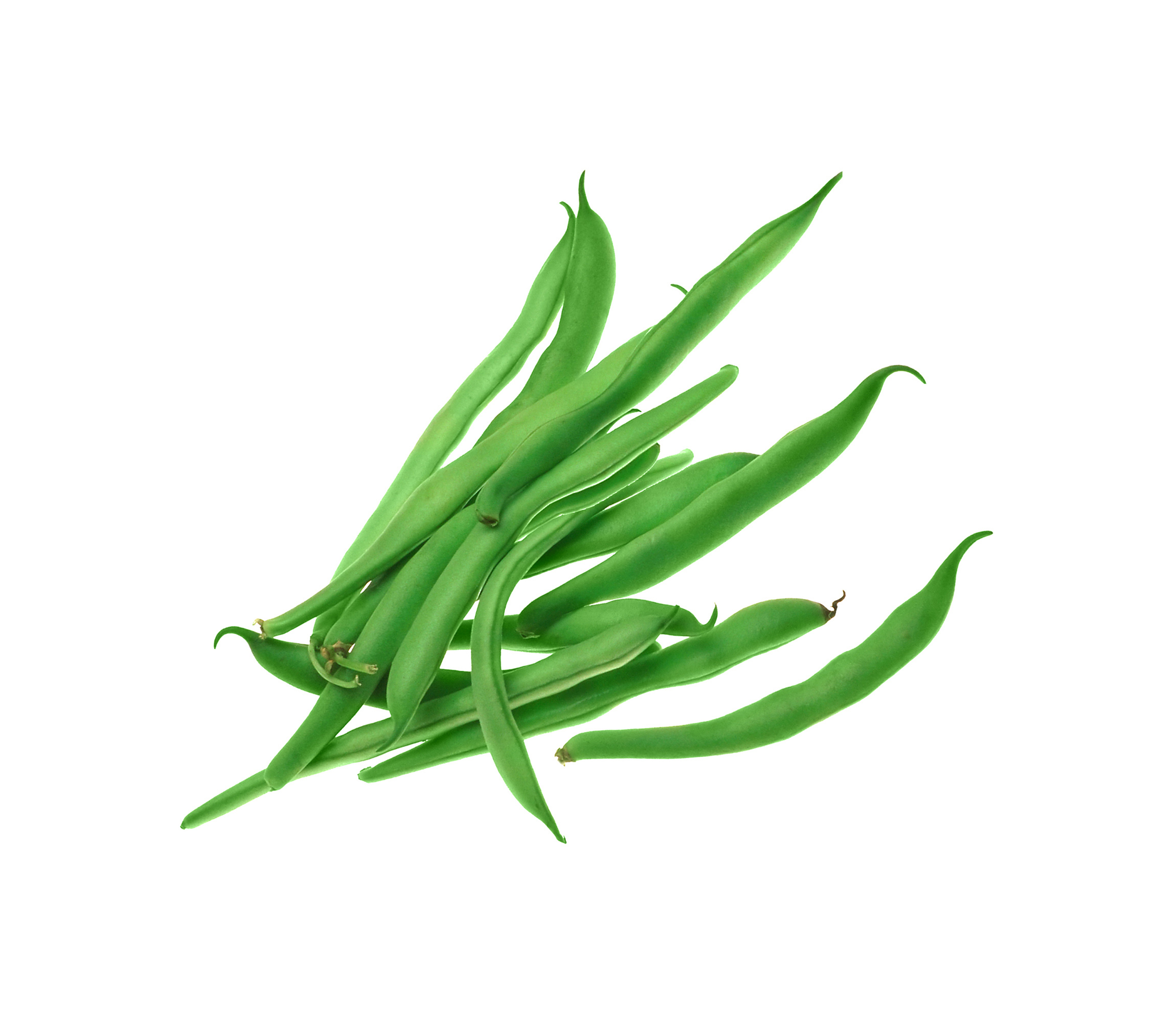 Sachet de graines de haricots nain mangetout contendeur - sachet de 200 grammes - petite entreprise française - made in france