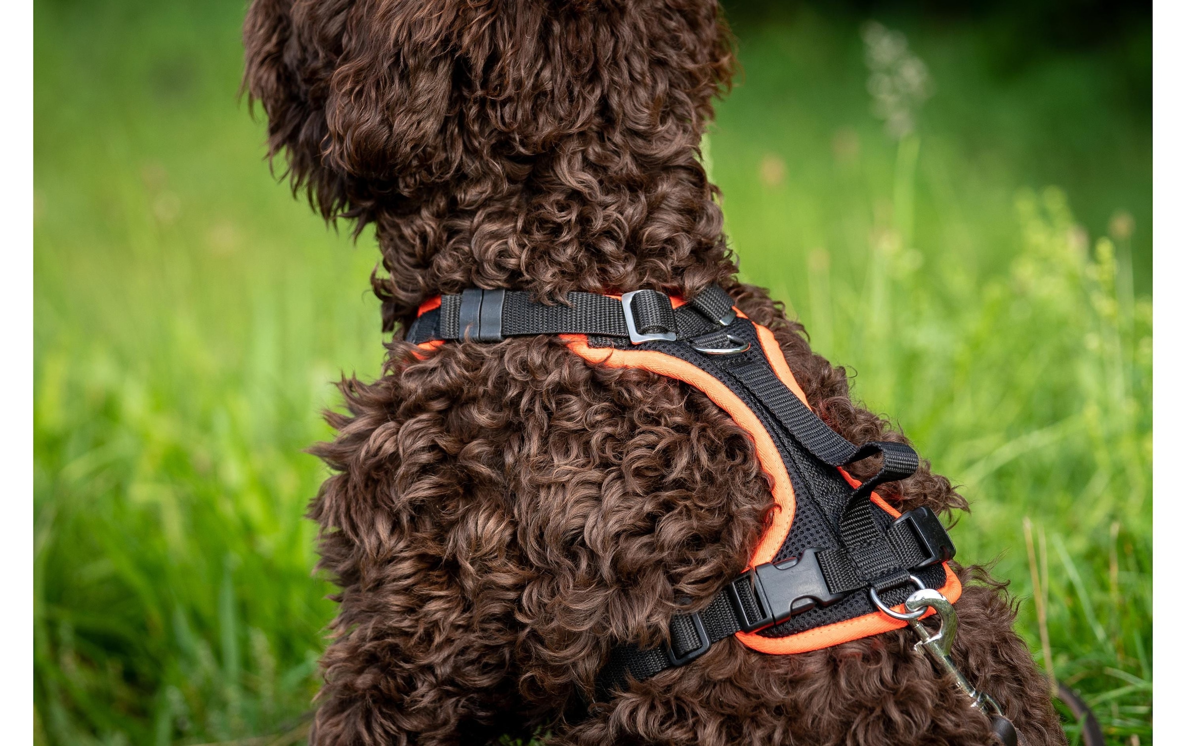 Hunde-Geschirr »Grossenbacher Vary M« Polyester