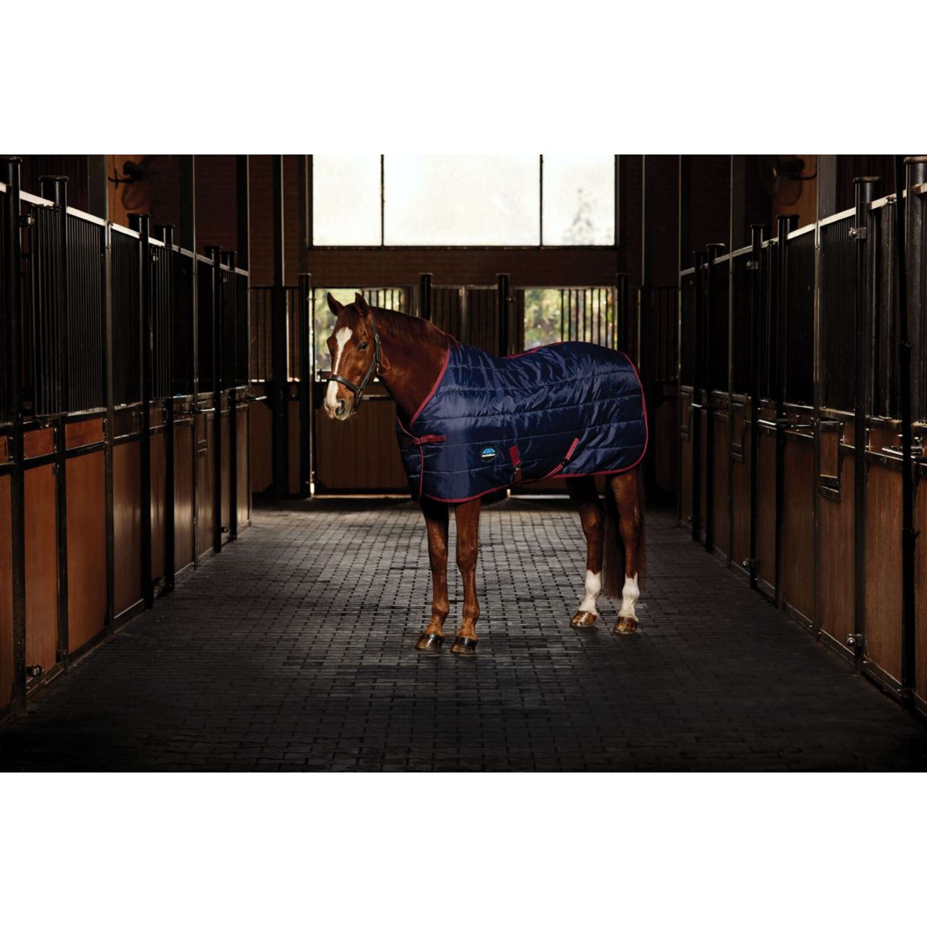 WeatherBeeta Staldeken ComFiTec 210D Channel Quilt Standard Neck 100g