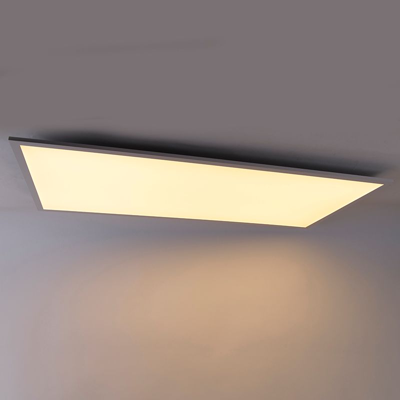 LED paneel staal 120 cm incl. LED met afstandsbediening - Liv