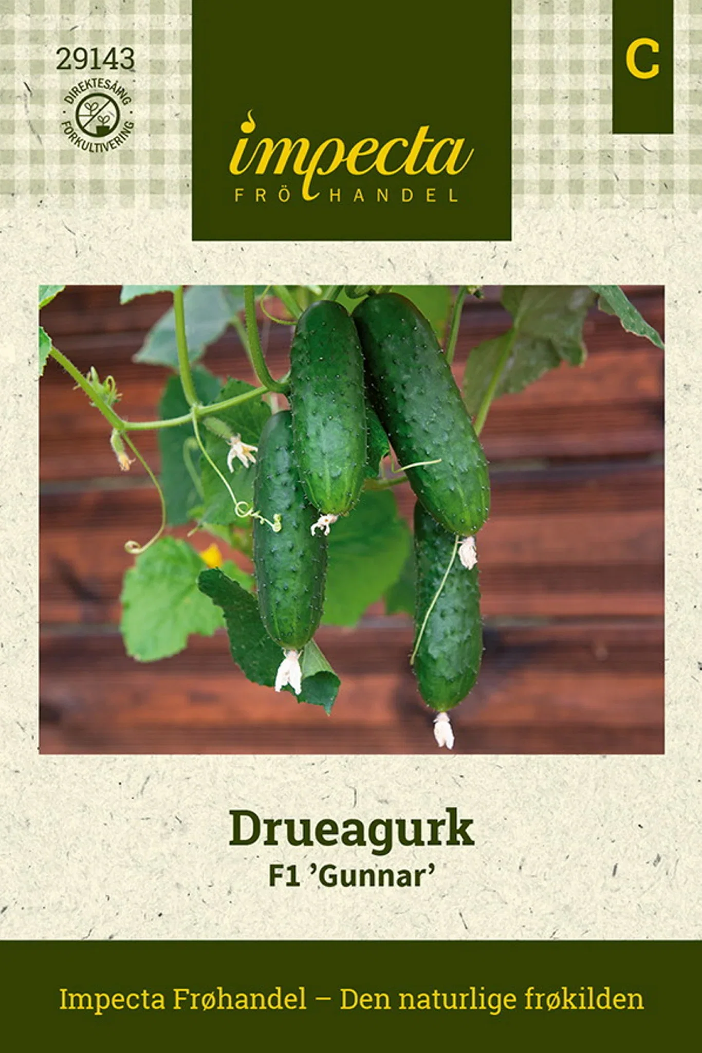 Cucumis sativus F1 'Gunnar' Agurk F1 'Gunnar'