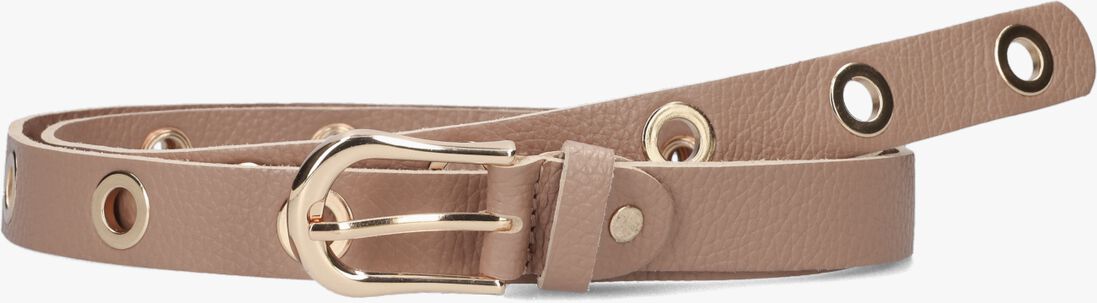 NOTRE-V camel notre-v riem avery