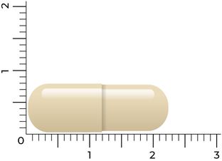 Vitakruid Rhodiola Extract 500mg Capsules 60VCP