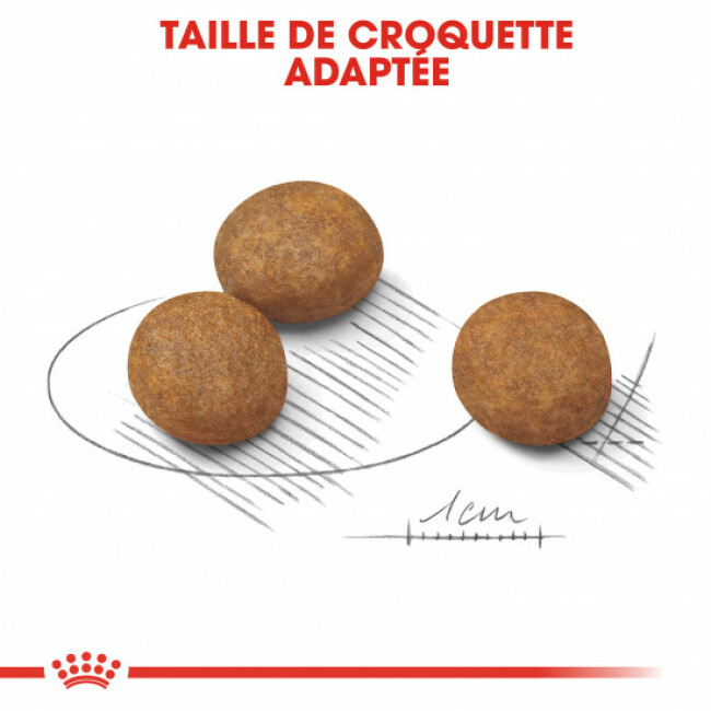 Croquettes Royal Canin Maxi Puppy Junior