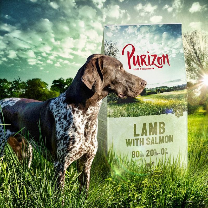Purizon Adult agneau, saumon - sans céréales