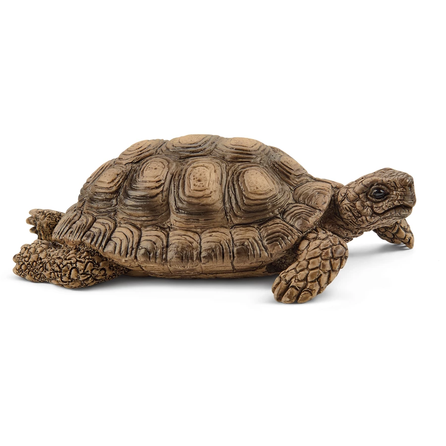 schleich® Zuhause für Schildkröten 42506