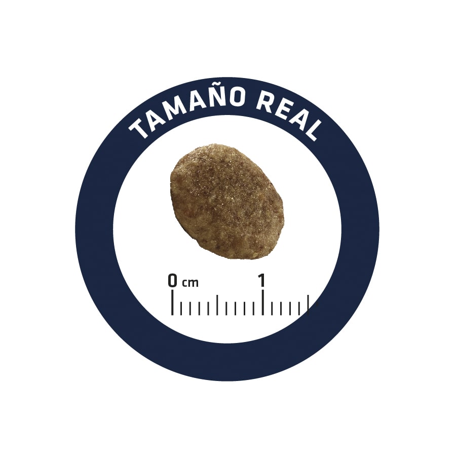 1,5 kg de alimento para gatos Advance Veterinary Diets com sabor urinário