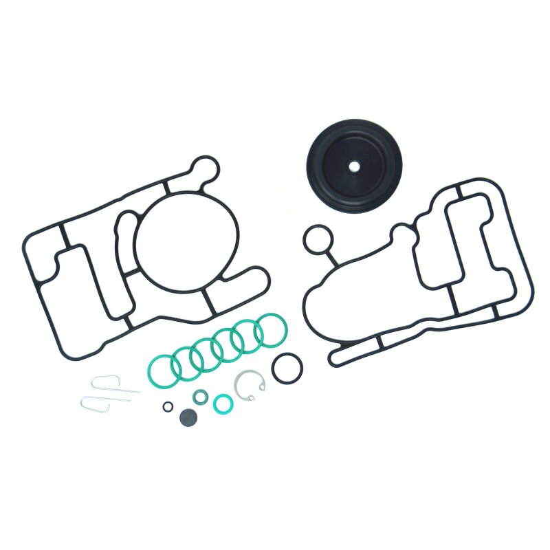 BRC Reparatursatz Genius-MAX Verdampfer