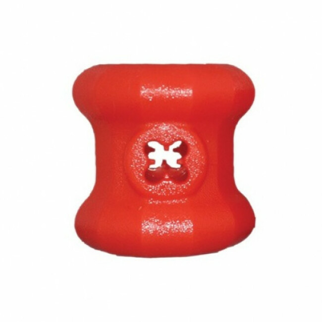 Jouet Everlasting Starmark hyper résistant pour chien