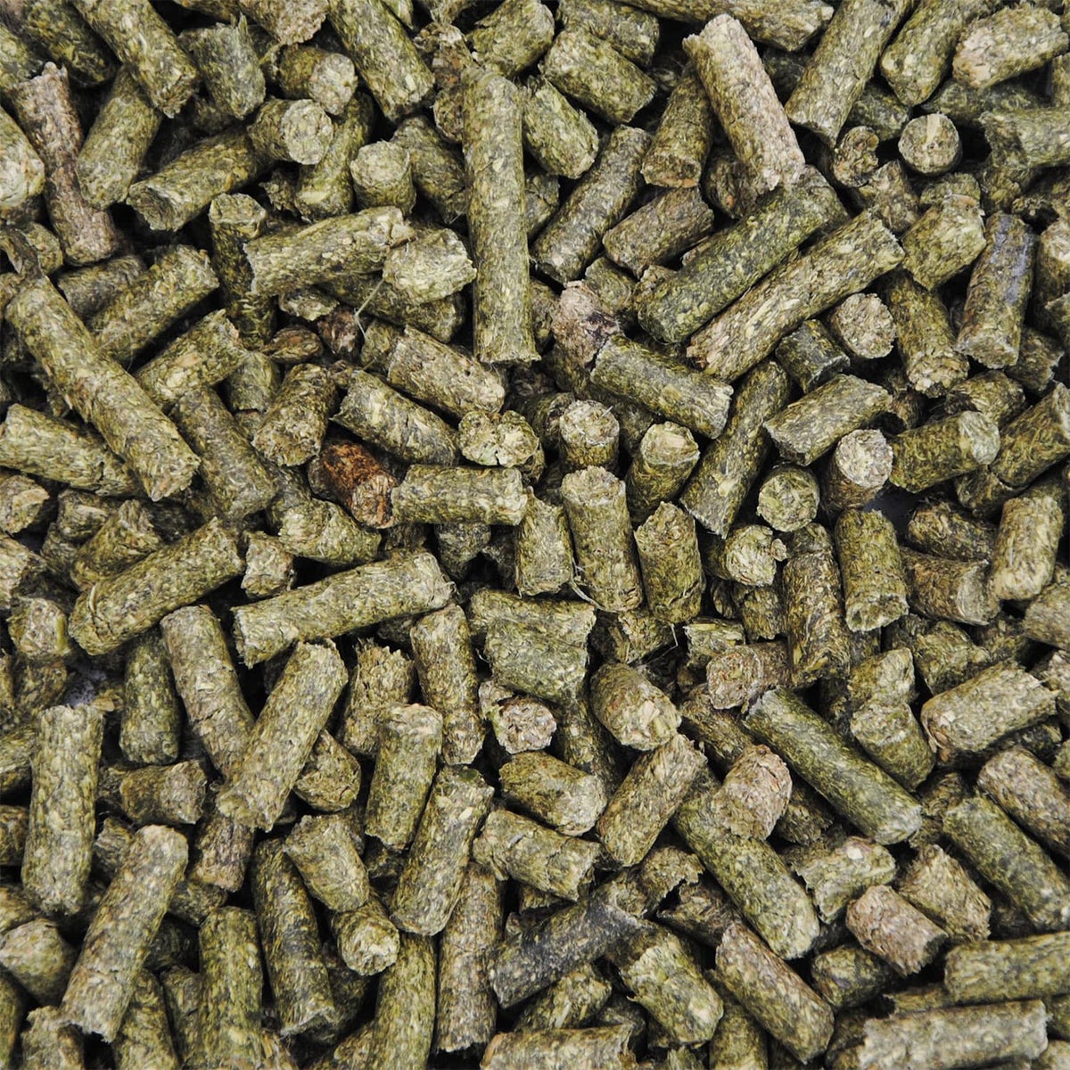 STROY Lucerne kolven 15kg x 65 zakken 975kg pallet