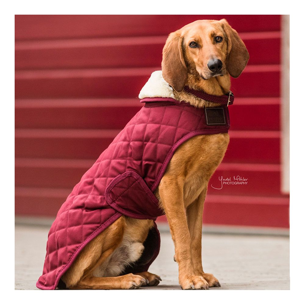 Kentucky ORIGINAL 160G - Couverture pour chien bordeaux