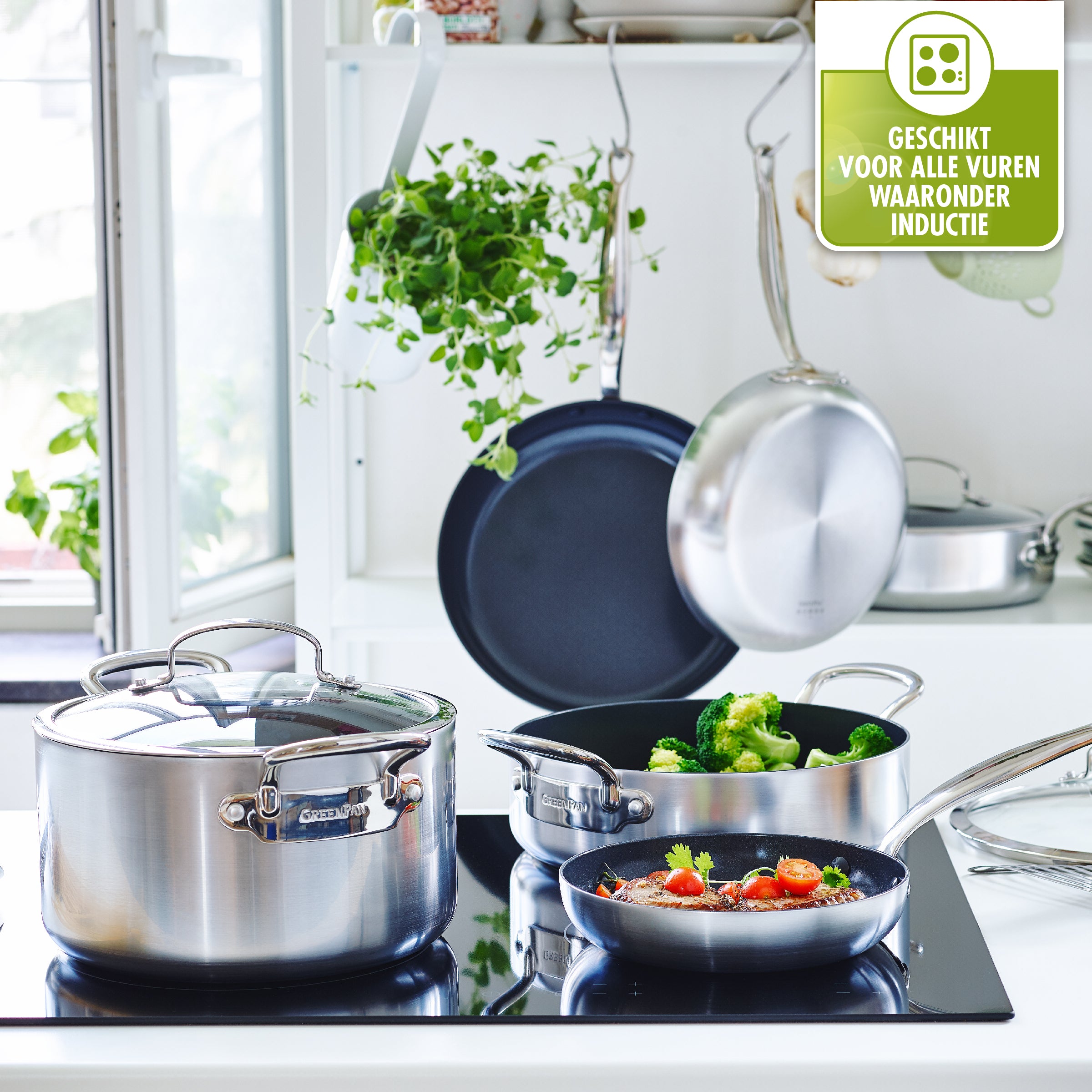 GreenPan Barcelona Evershine Wokpan Ã 30 cm - Zilver