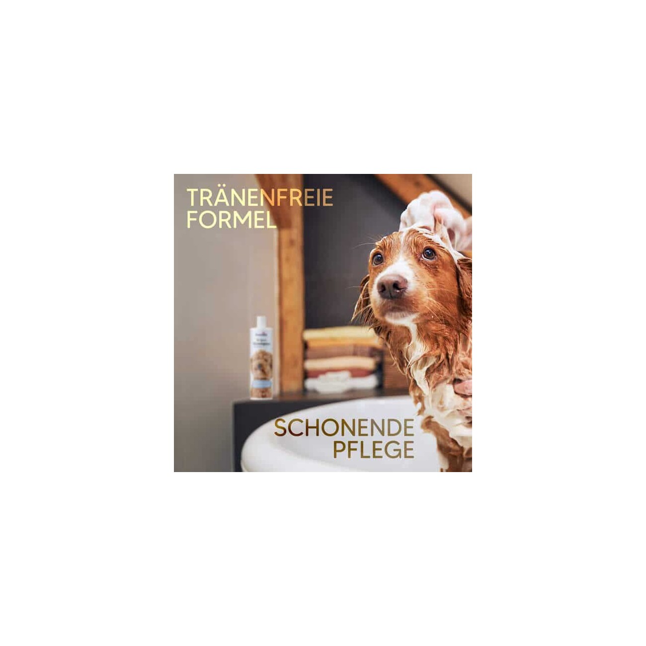Pawlie's Welpenshampoo