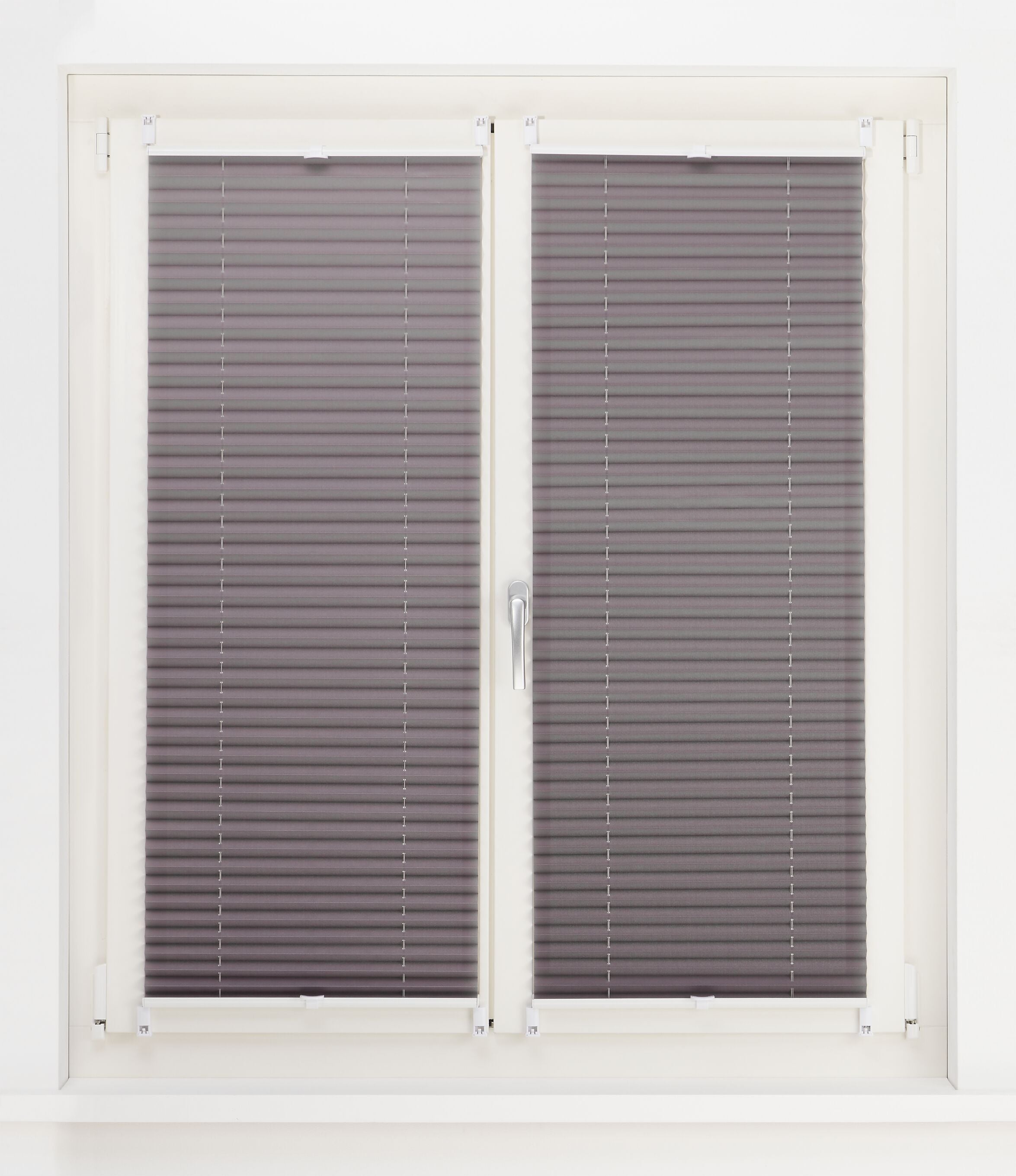 BASIC Plissee - Grau / B: 55.0 cm x H: 130.0 cm