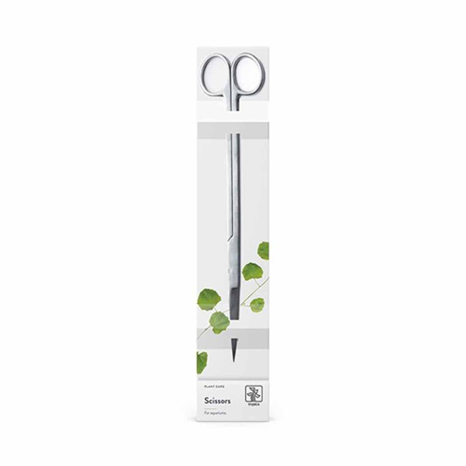 TROPICA - Plante Saks 