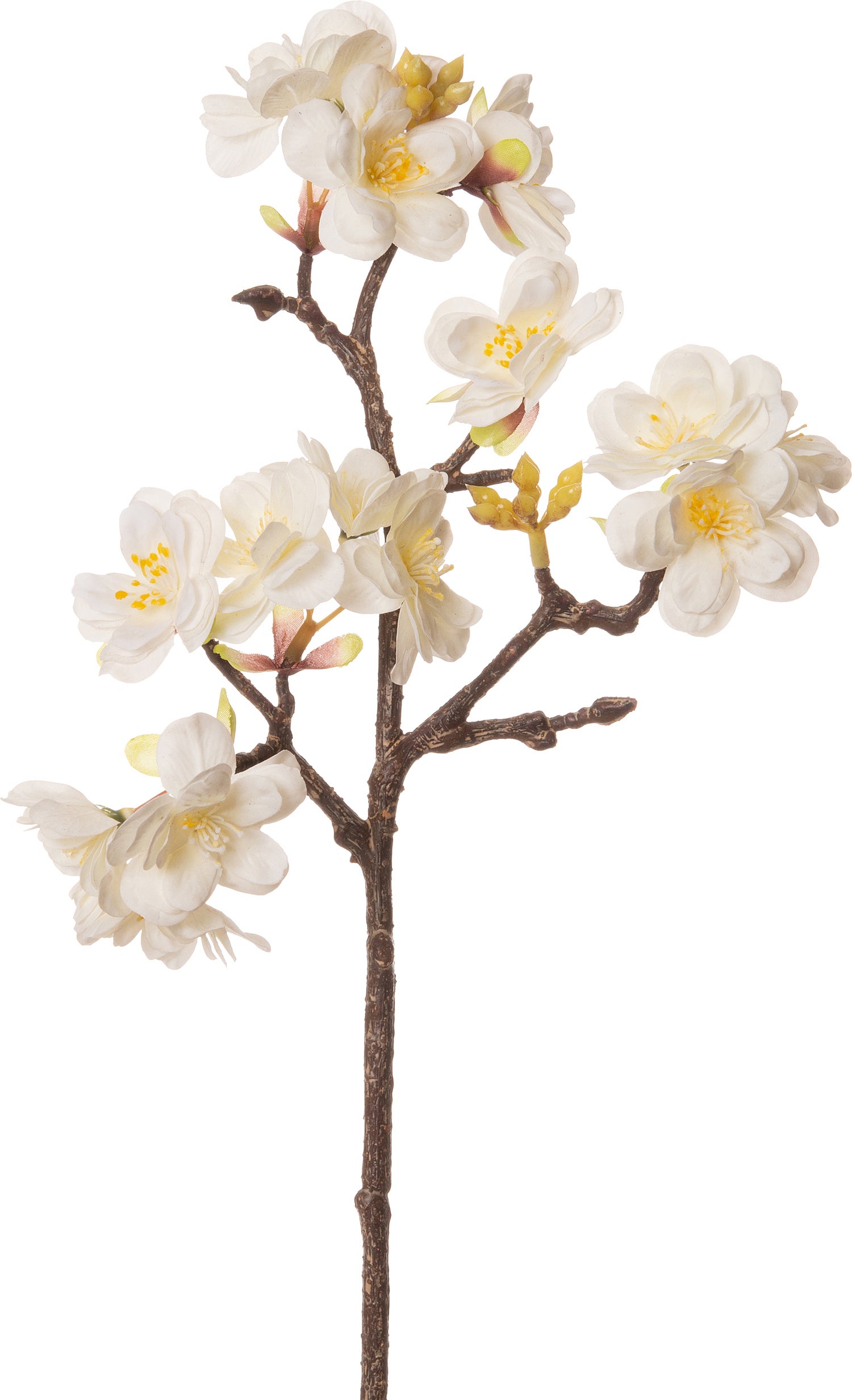 Intratuin kunstbloem wit 40 cm