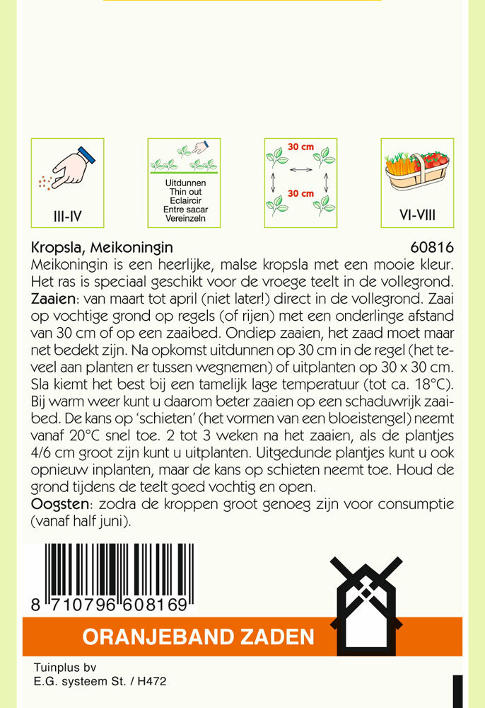Oranjeband zaden Kropsla Meikoningin - Groentezaden