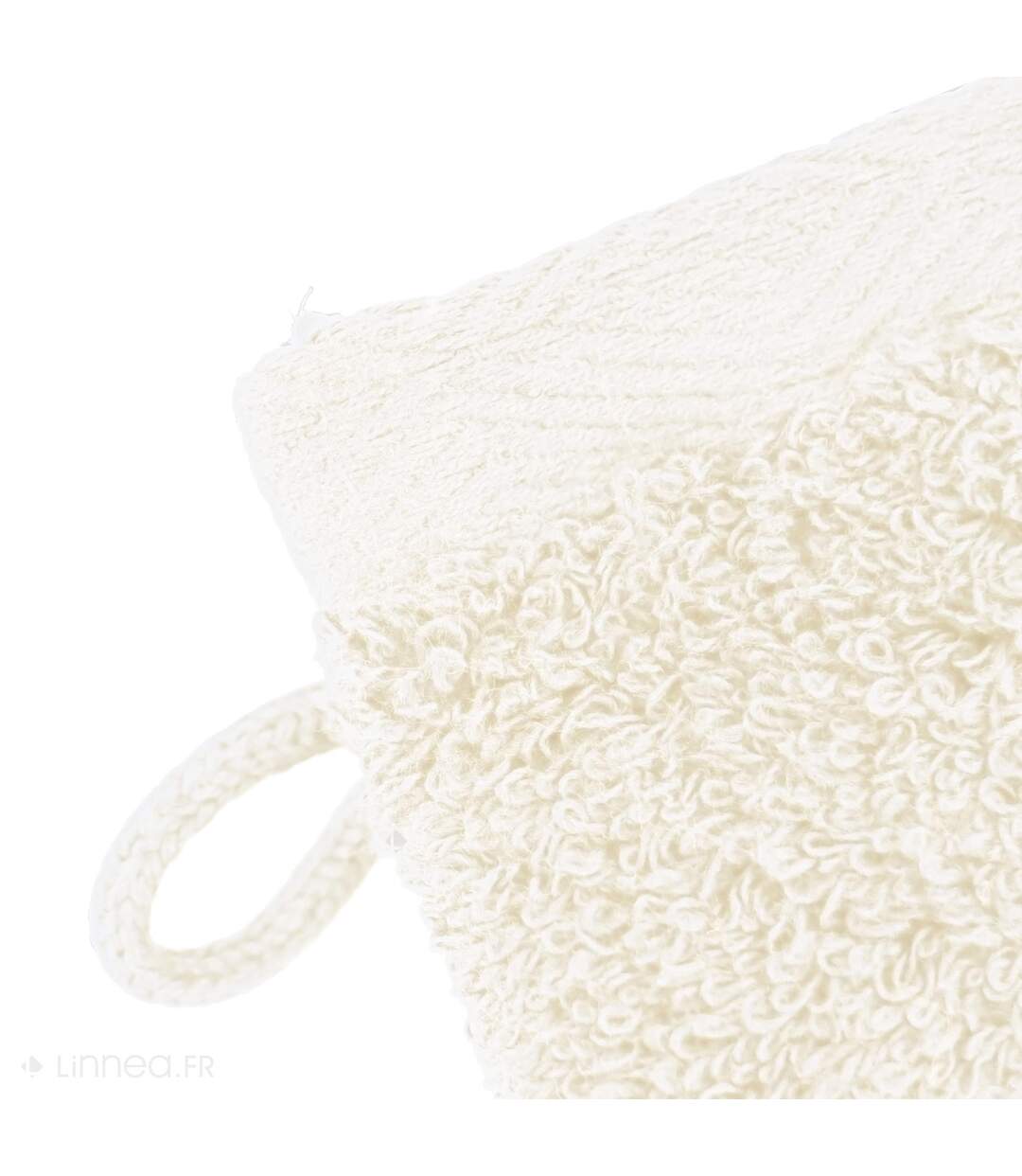 Lot de 2 gants de toilette 16x21 cm SOFTY taupe