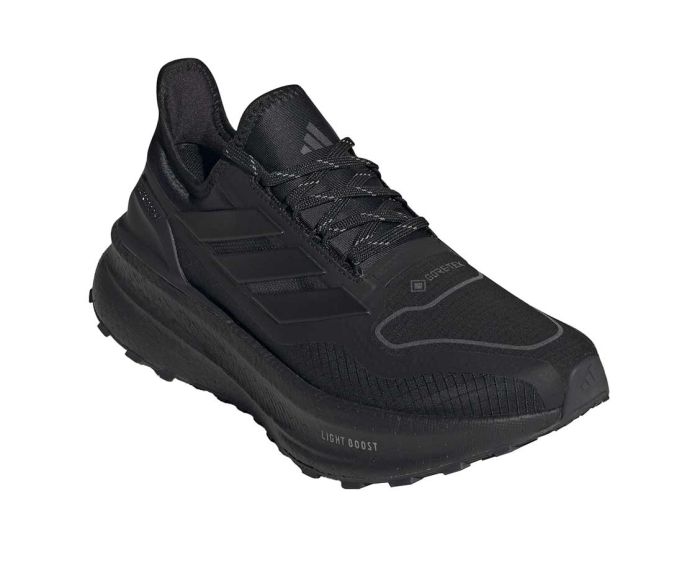 Ultraboost 5 GTX Women