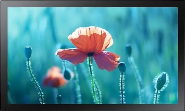 Samsung QB13R-TM - 13
