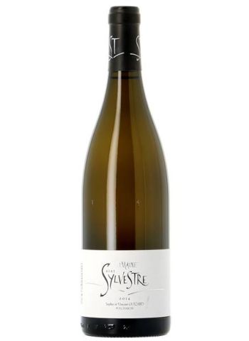 Saint-Sylvestre - Saint Sylvestre