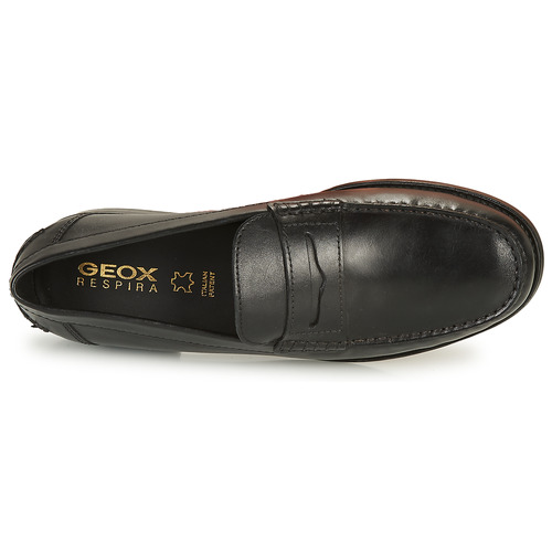Geox - NEW DAMON B - Noir