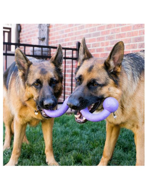 Kong Ogee™ Stick - Hondenspeelgoed