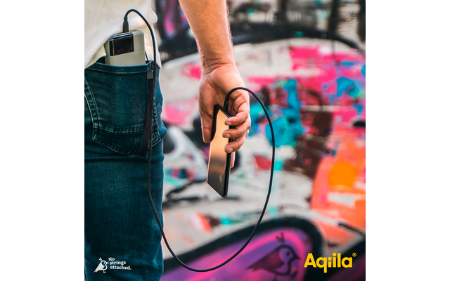 Aqiila Cablebird CB Ladekabel / Sync-Kabel USB-C zu USB-C / 240 W