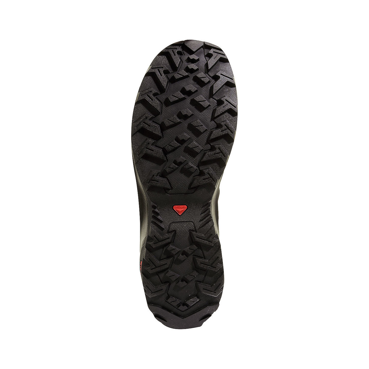 Salomon Daintree Mid GTX Outdoorschuh für Herren