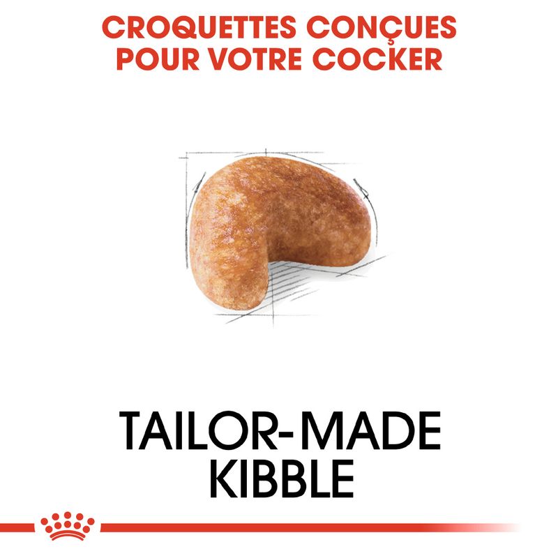Royal Canin Cocker Adult à prix discount sur bitiba.fr