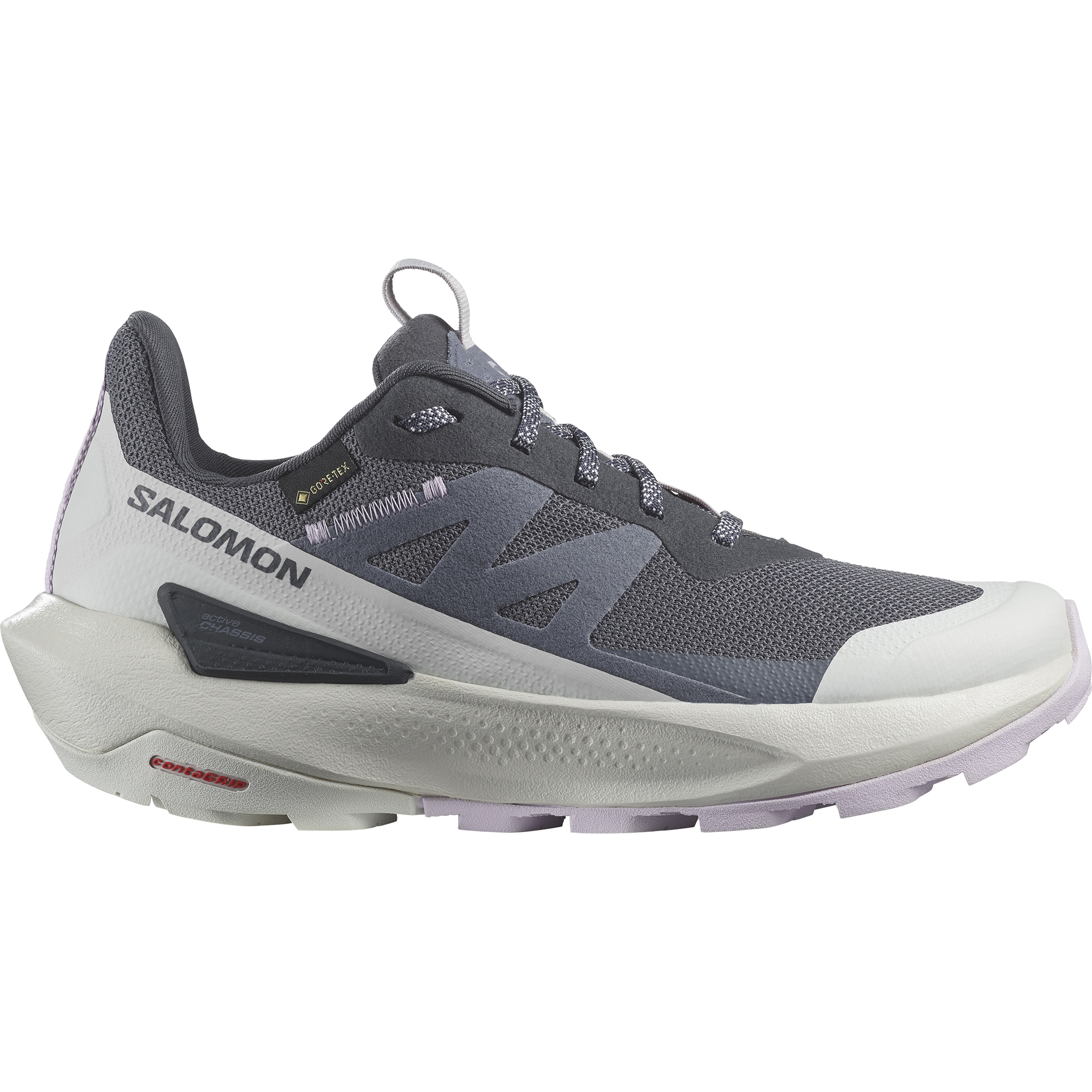 Salomon Outdoorschuh »ELIXIR ACTIV GORE-TEX W«  wasserdicht